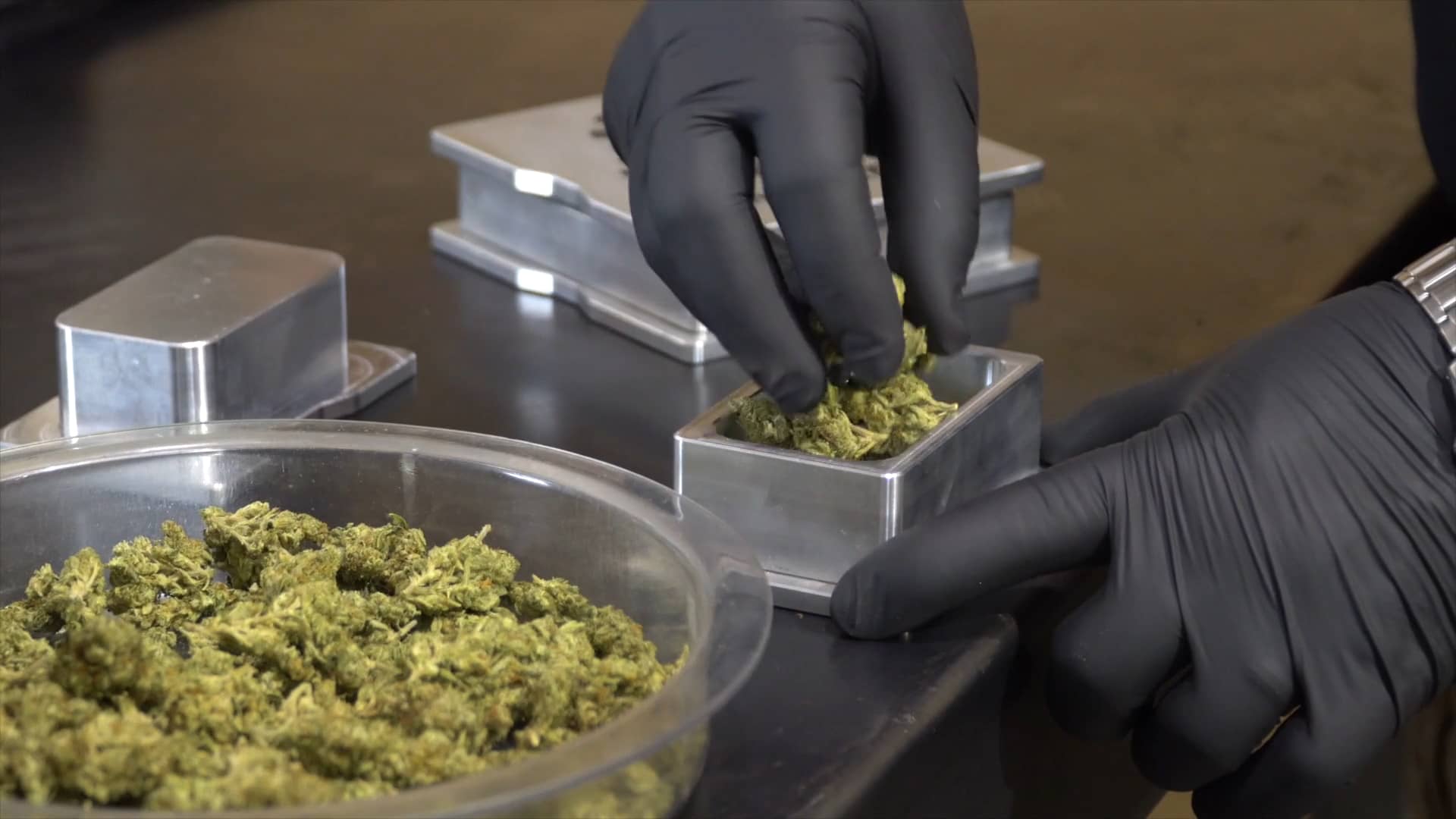 Triminator Visual Guides How to Use Rosin Pre Press Molds Rosin Press