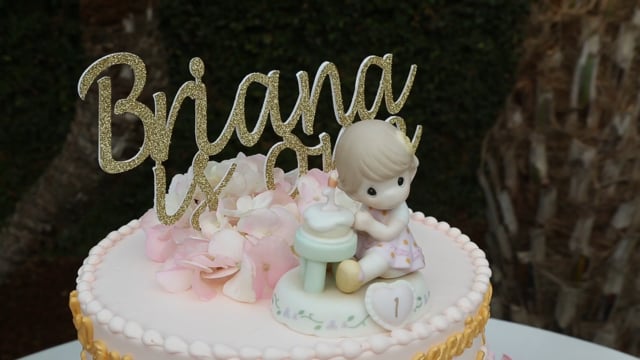 Briana's 1st Birthday Party