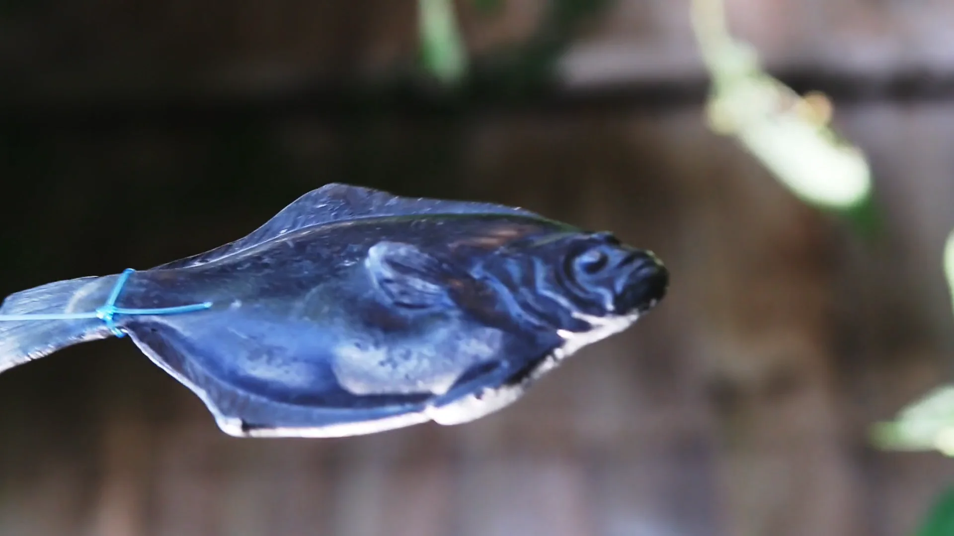 Poisson on Vimeo