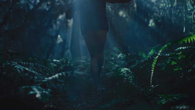 TROUSERLESS NIGHTMARE - Alex Nicholson