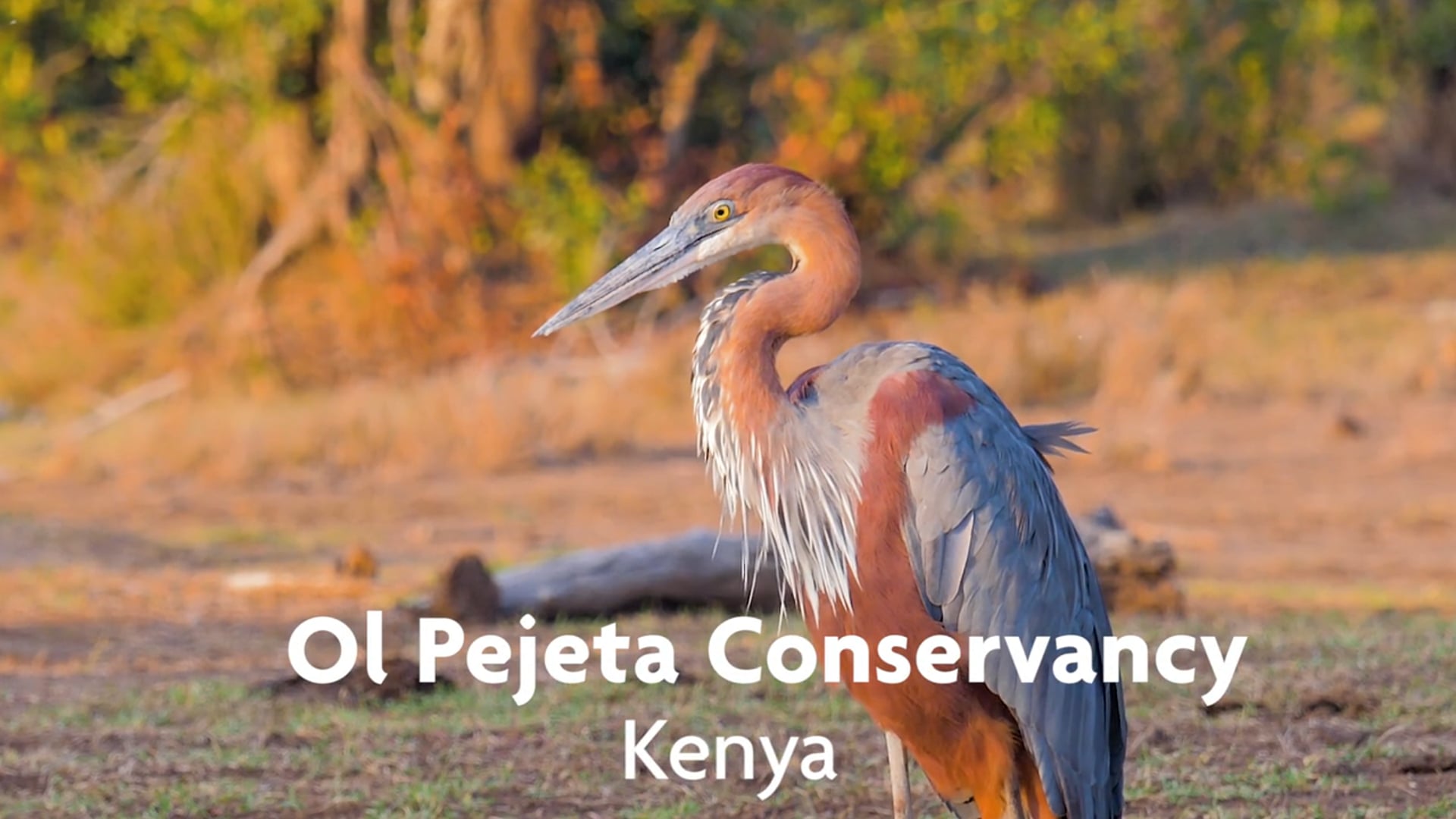 Transforming Our World: Ol Pejeta Conservancy, Kenya