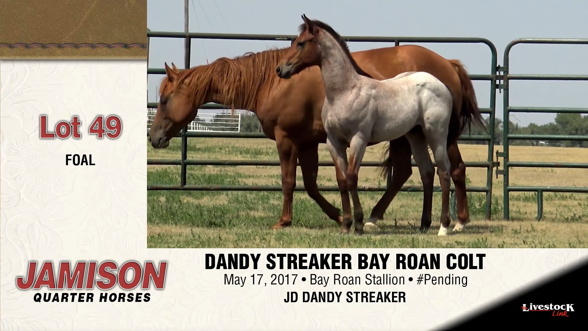 Lot 49 - Jamison Ranch Quarter Horses on Vimeo