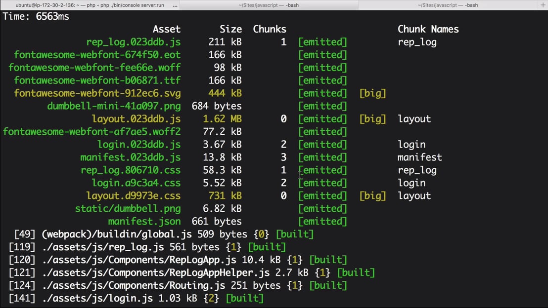 Versioning manifest.json > JavaScript for PHP Geeks: Webpack for Module ...