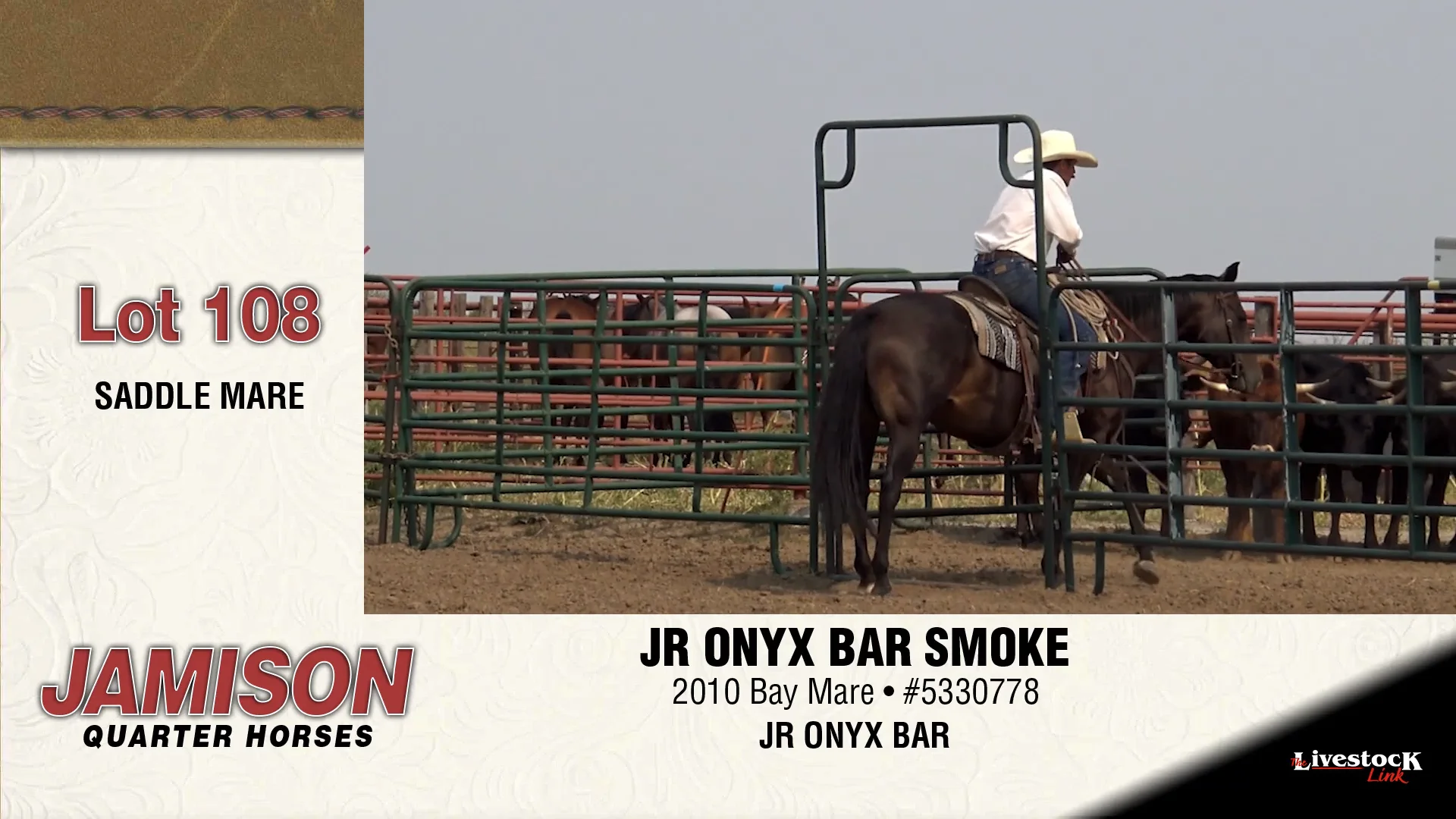 Lot 108 - Jamison Ranch Quarter Horses on Vimeo