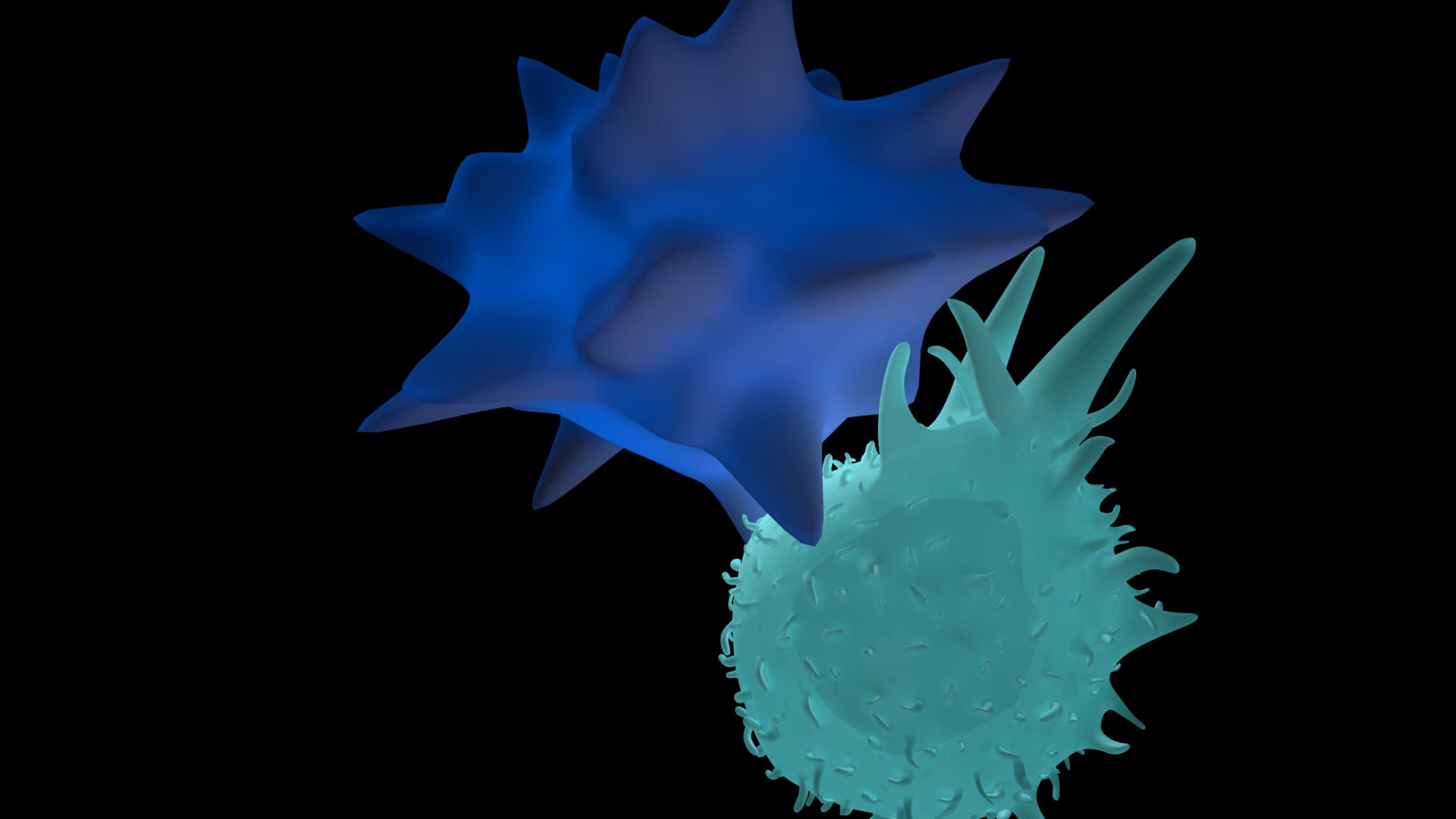 Medical Animation and Rigging