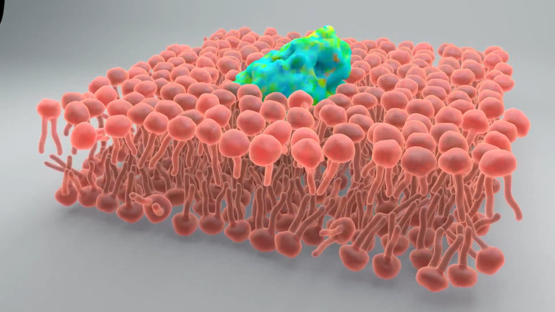 PDB Protein Expression Test on Vimeo
