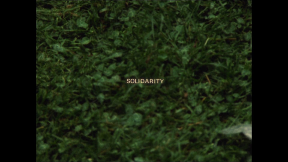 Solidarity