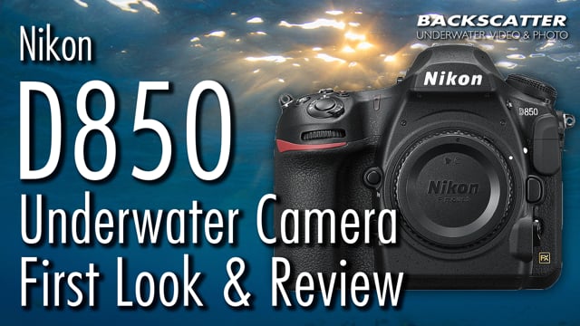 Nikon D850 Underwater Camera Review and First Look