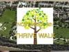 Profiling Frances Rippy on ChooseWell's Thrive Walk