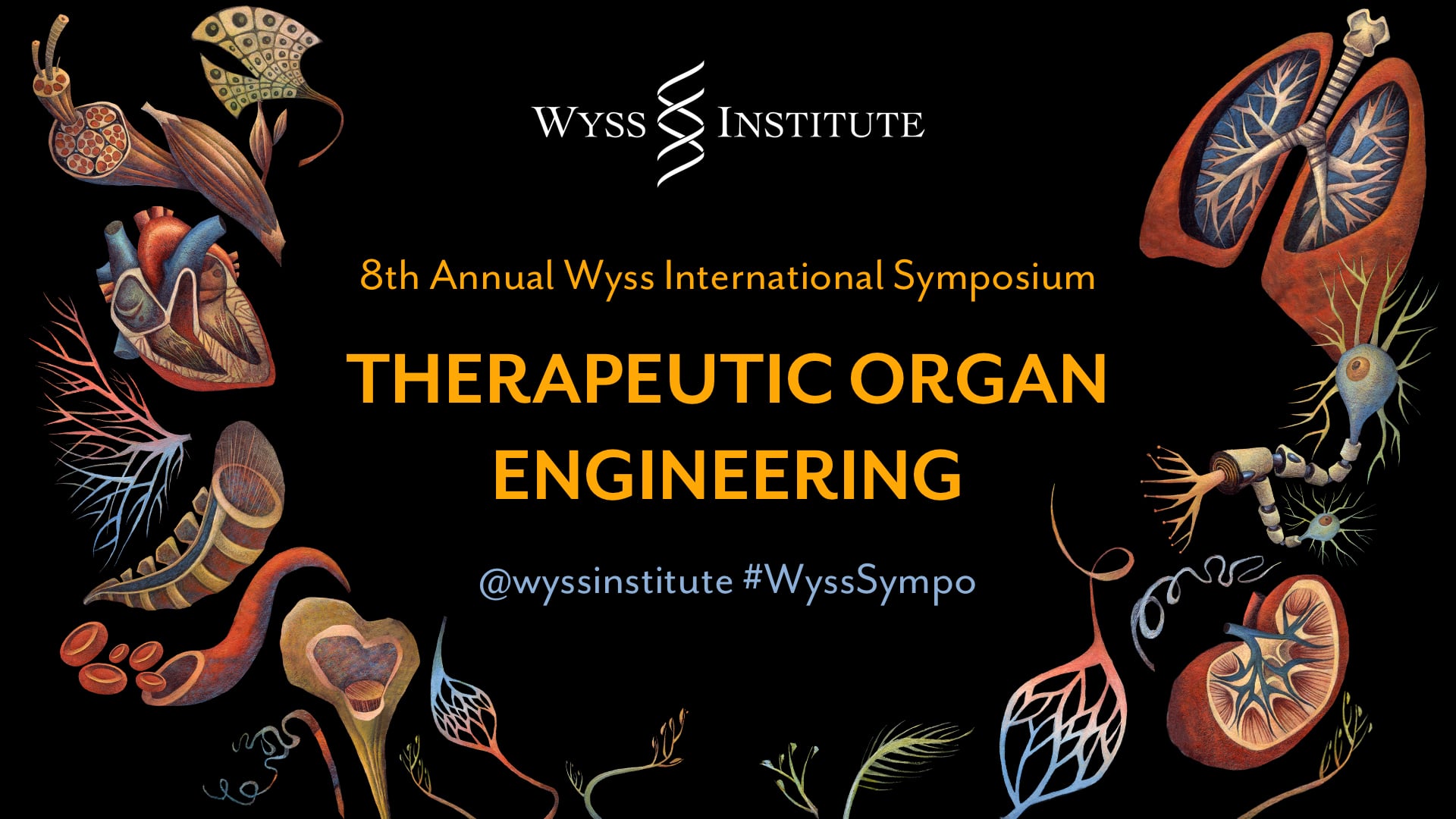 Therapeutic Organ Engineering