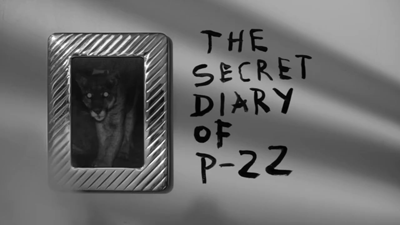 The Secret Diary of P-22