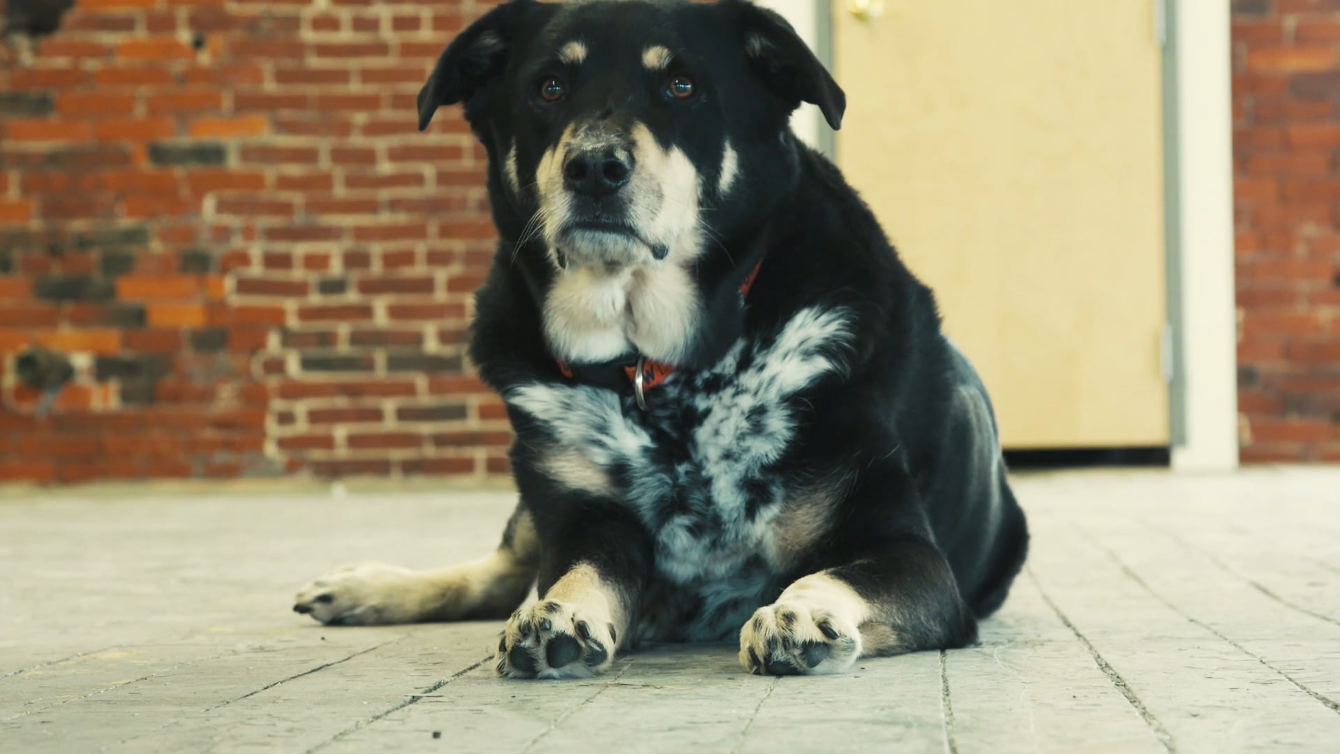 Meet the Tenants: Anchor Hitch Media