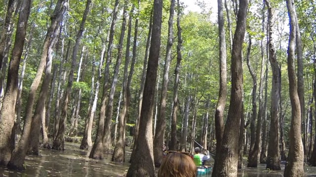 oxbow lakes, Perry county, CRS, 9/17