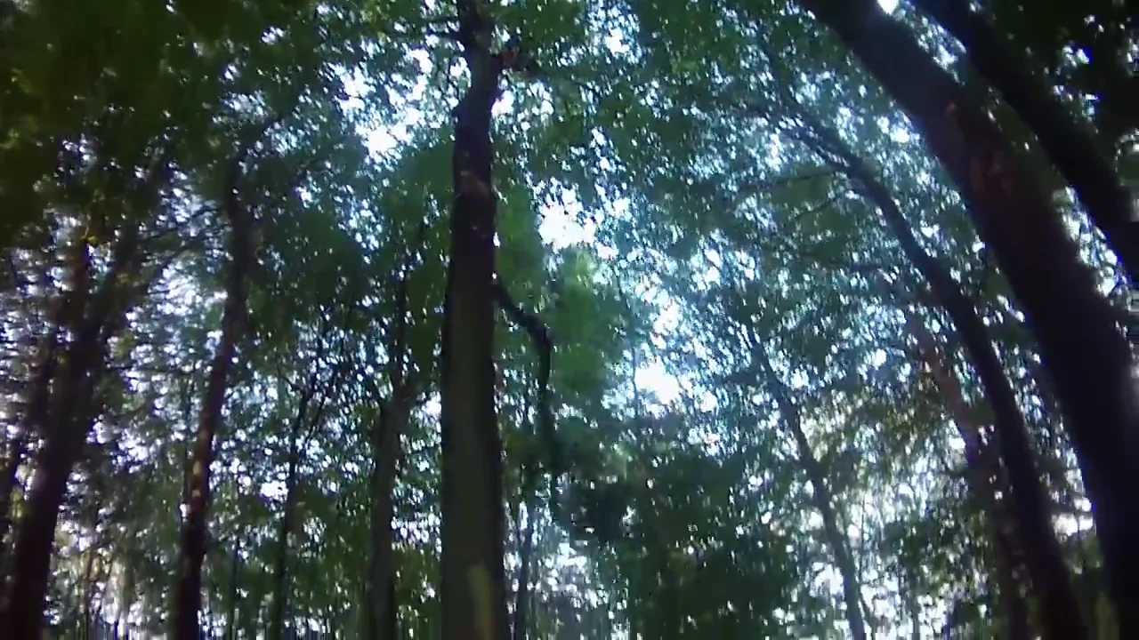 v2 on Vimeo