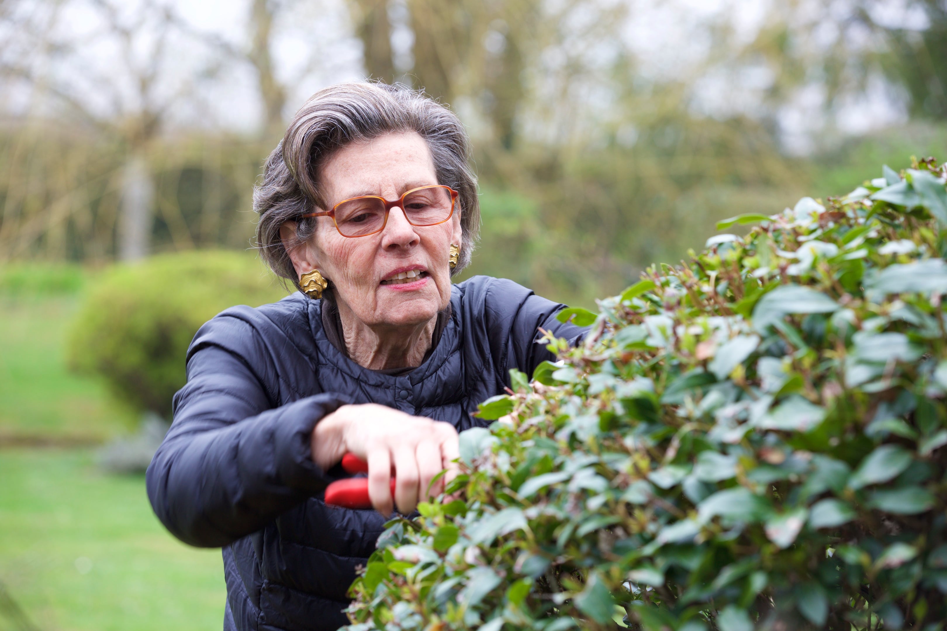 MONSANTO "Lawn & Garden"