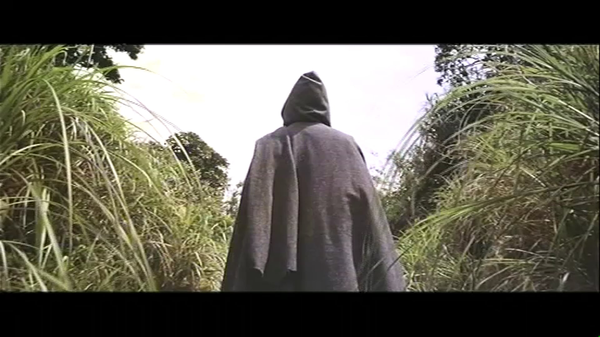 Butterfly Murders Bonus