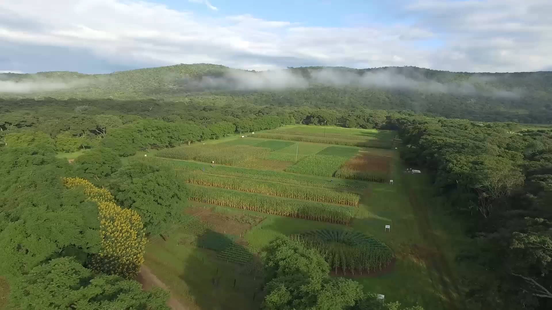Foundations for Farming Zambia on Vimeo