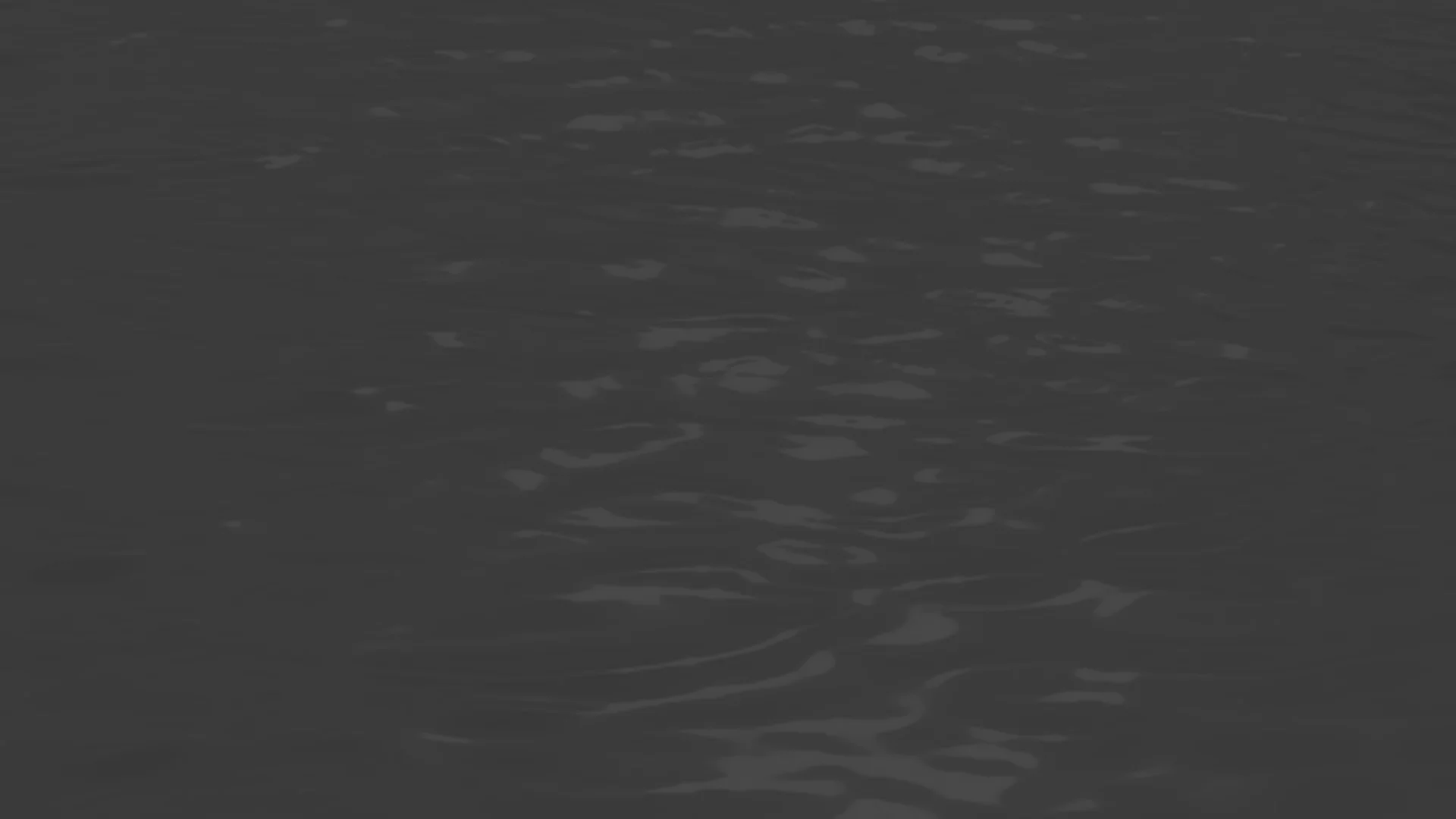 1598 Bay | A New Collection of Residences in the Marina