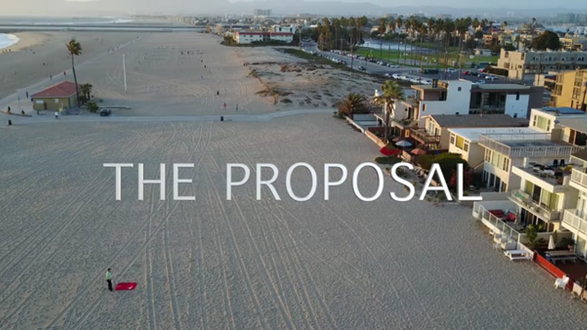 THE PROPOSAL