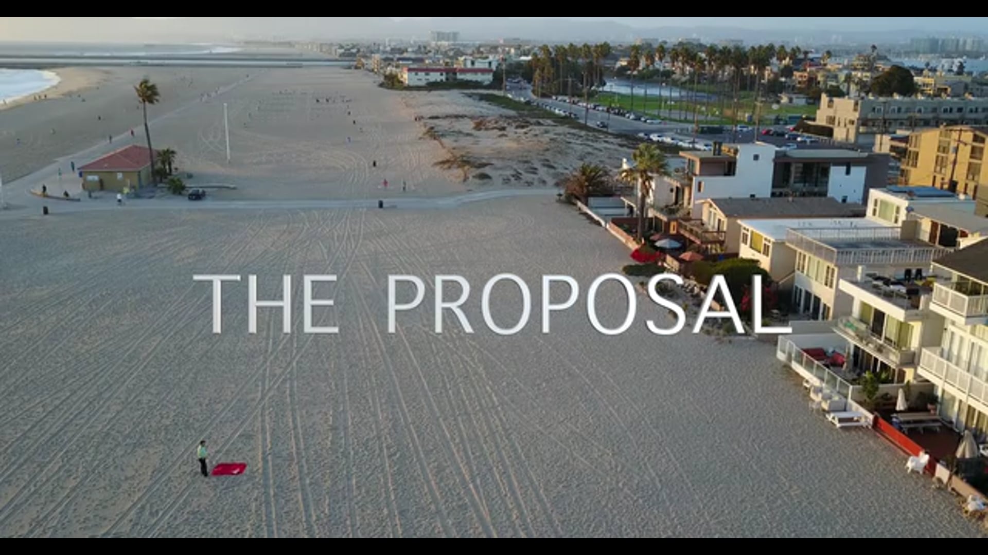 THE PROPOSAL