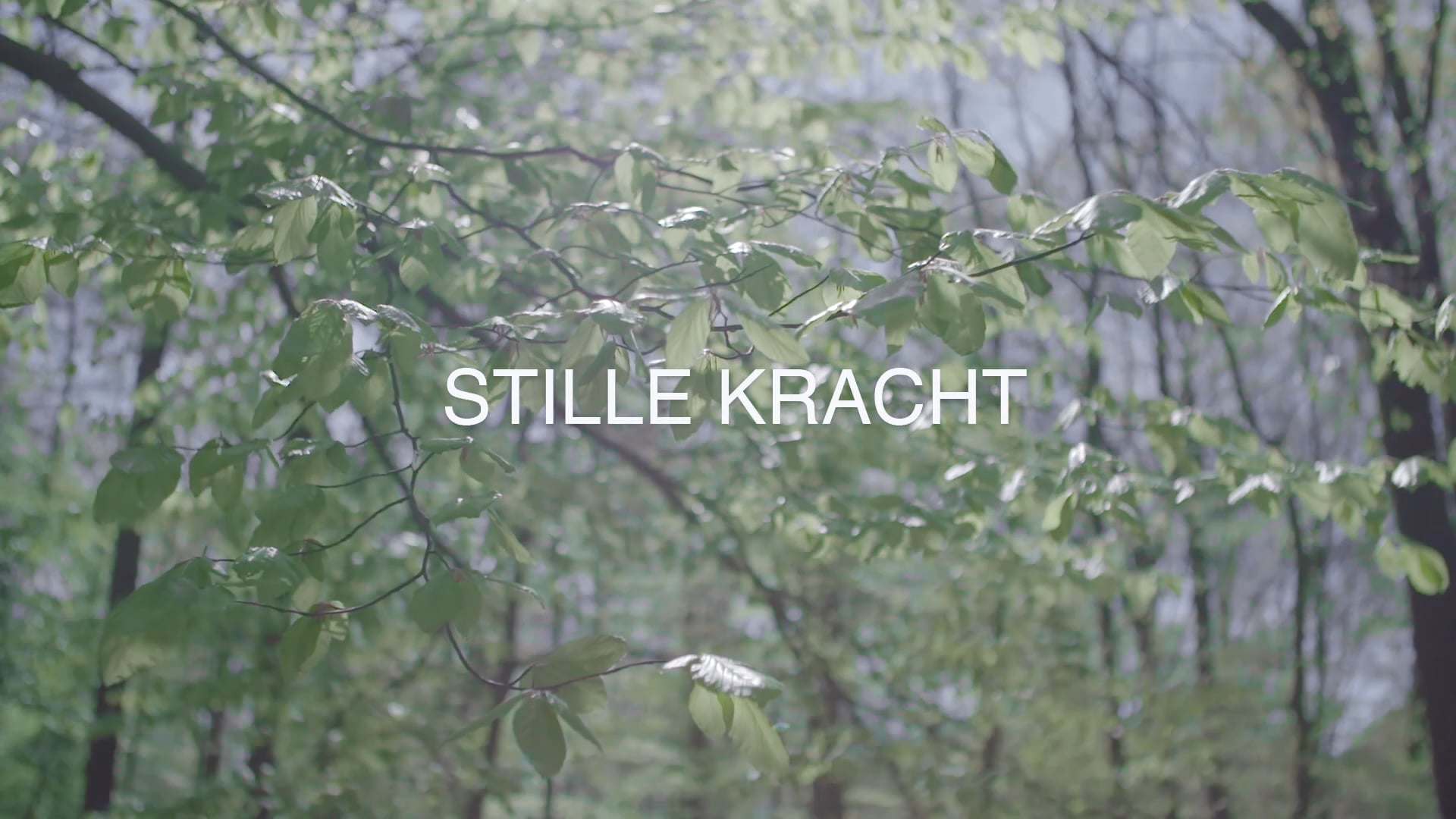 Stille kracht
