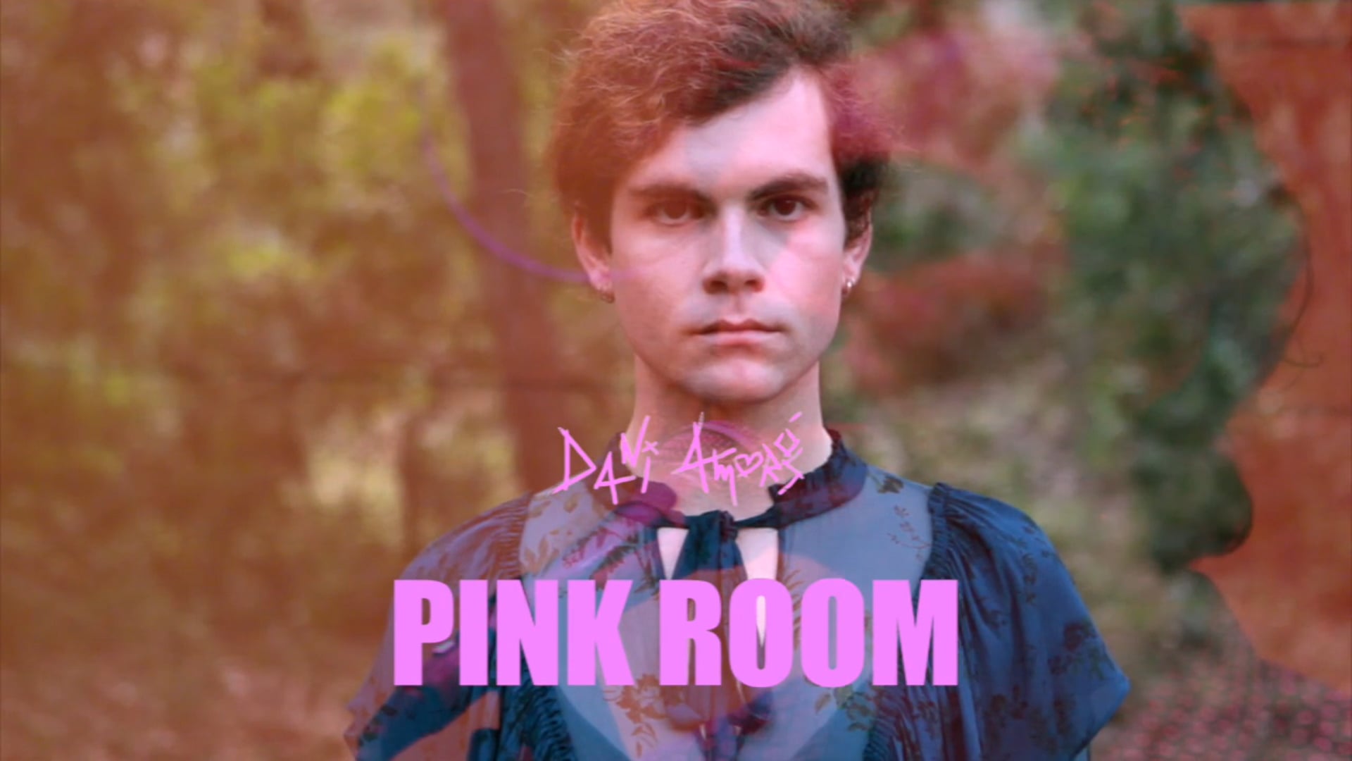 Pink Room Work in Progress Assaig