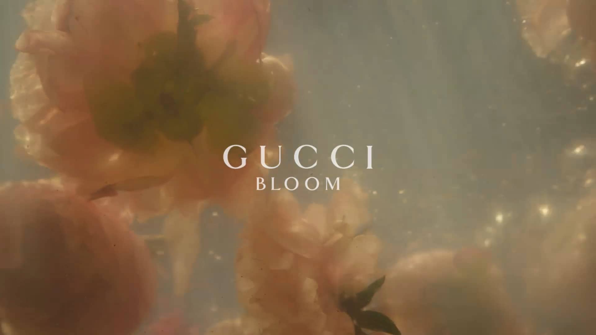 GUCCI - Bloom 2017 on Vimeo