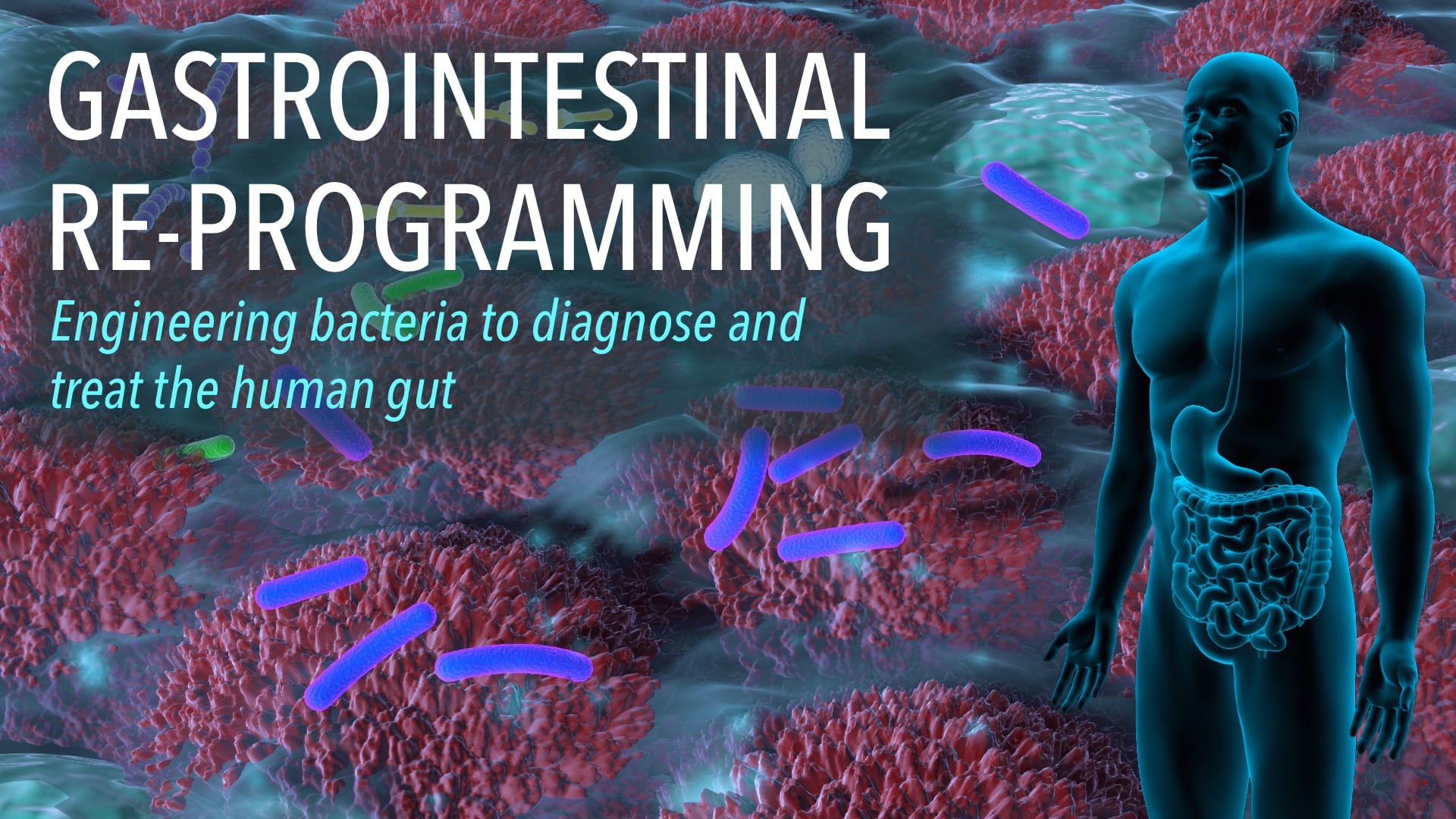 Gastrointestinal Re-Programming