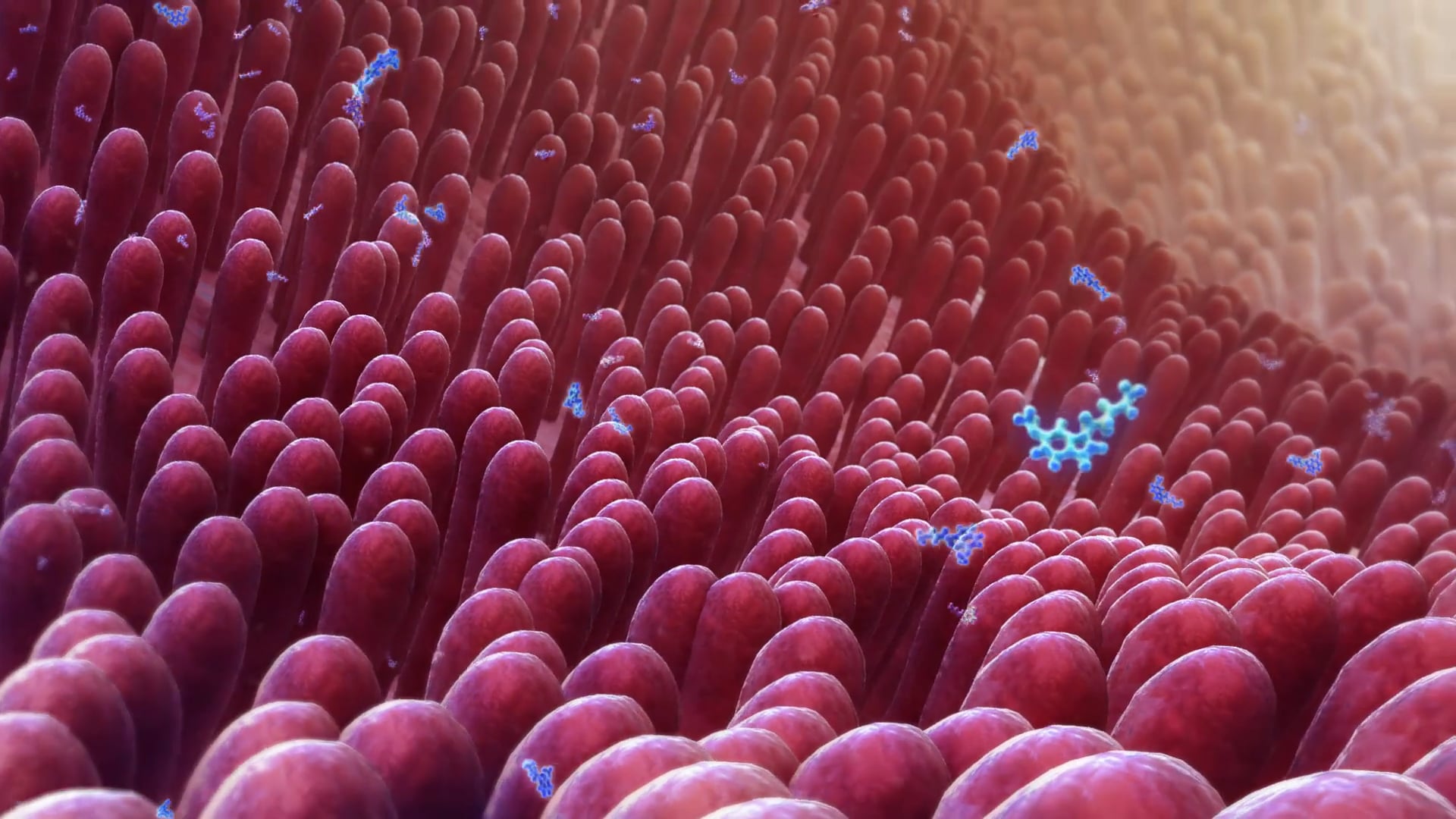 REMfresh Continuous Release Melatonin How does it work? on Vimeo