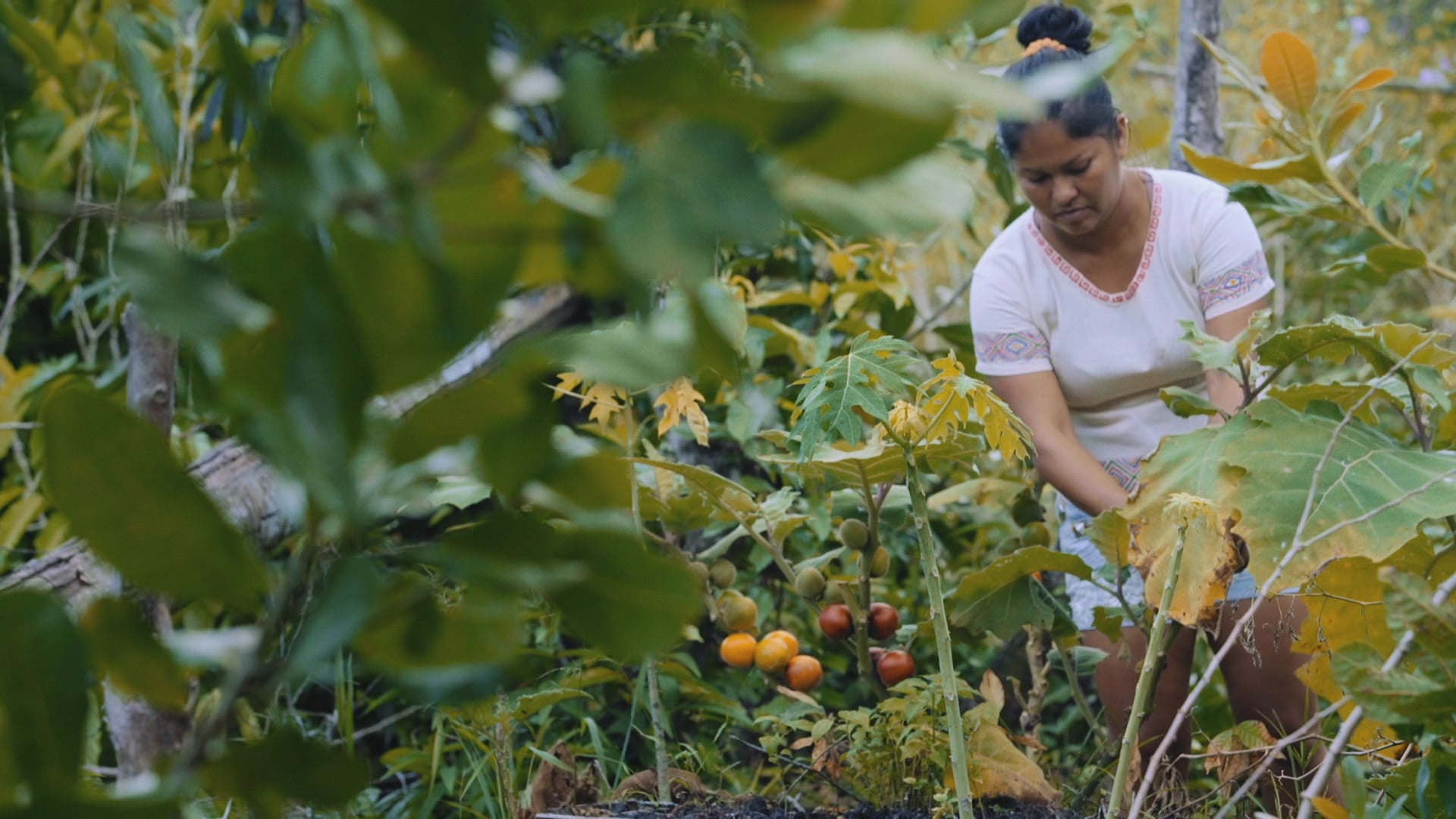 Latam I Conexões Transformadoras - Empreendedorismo feminino na floresta