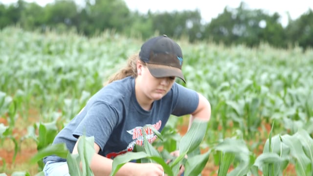 Agritourism SAE
