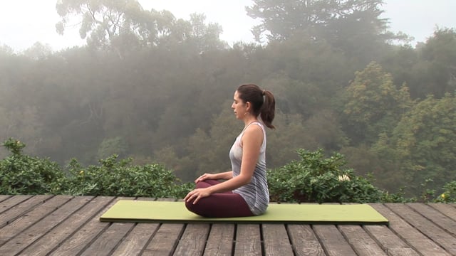 Forest Practice From Jenni's DVD "Strong Vinyasa Flow" (2012)
