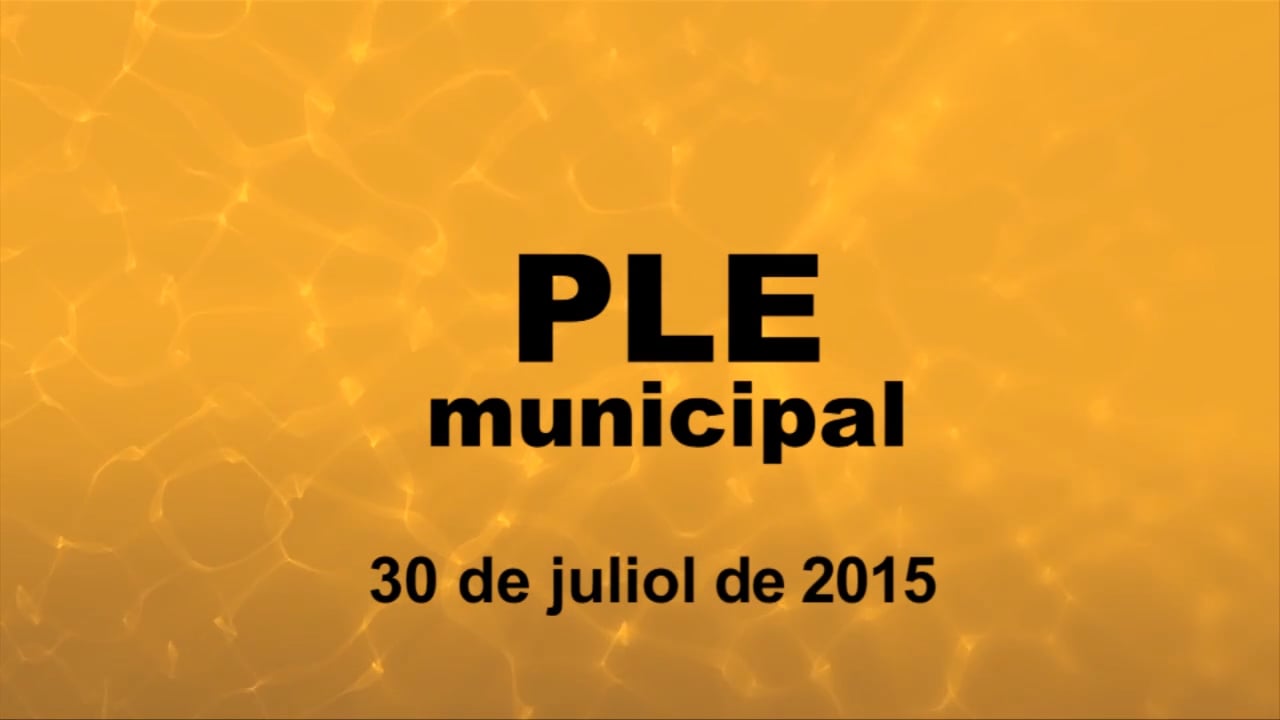 30 de juliol de  2015 - punt1 i 2