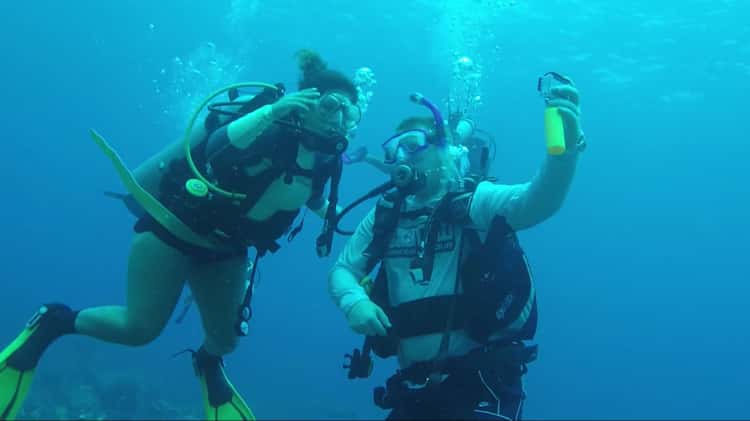 SCUBA Diving Reel on Vimeo
