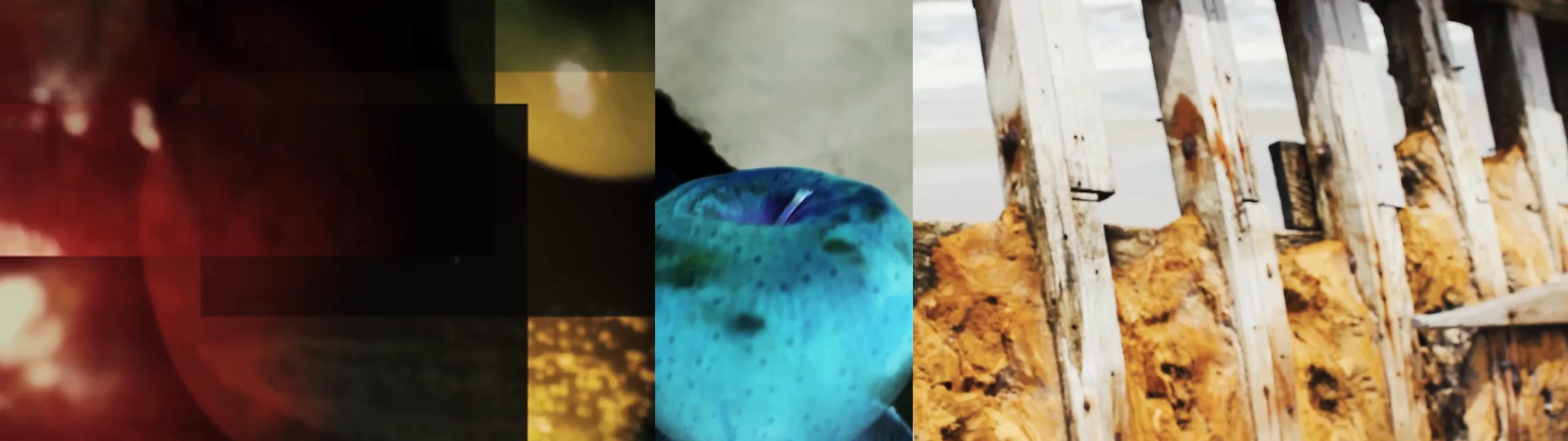 Pendulum III on Vimeo