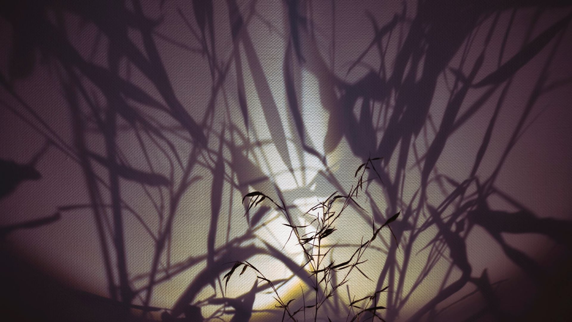 Harbinger - Installation