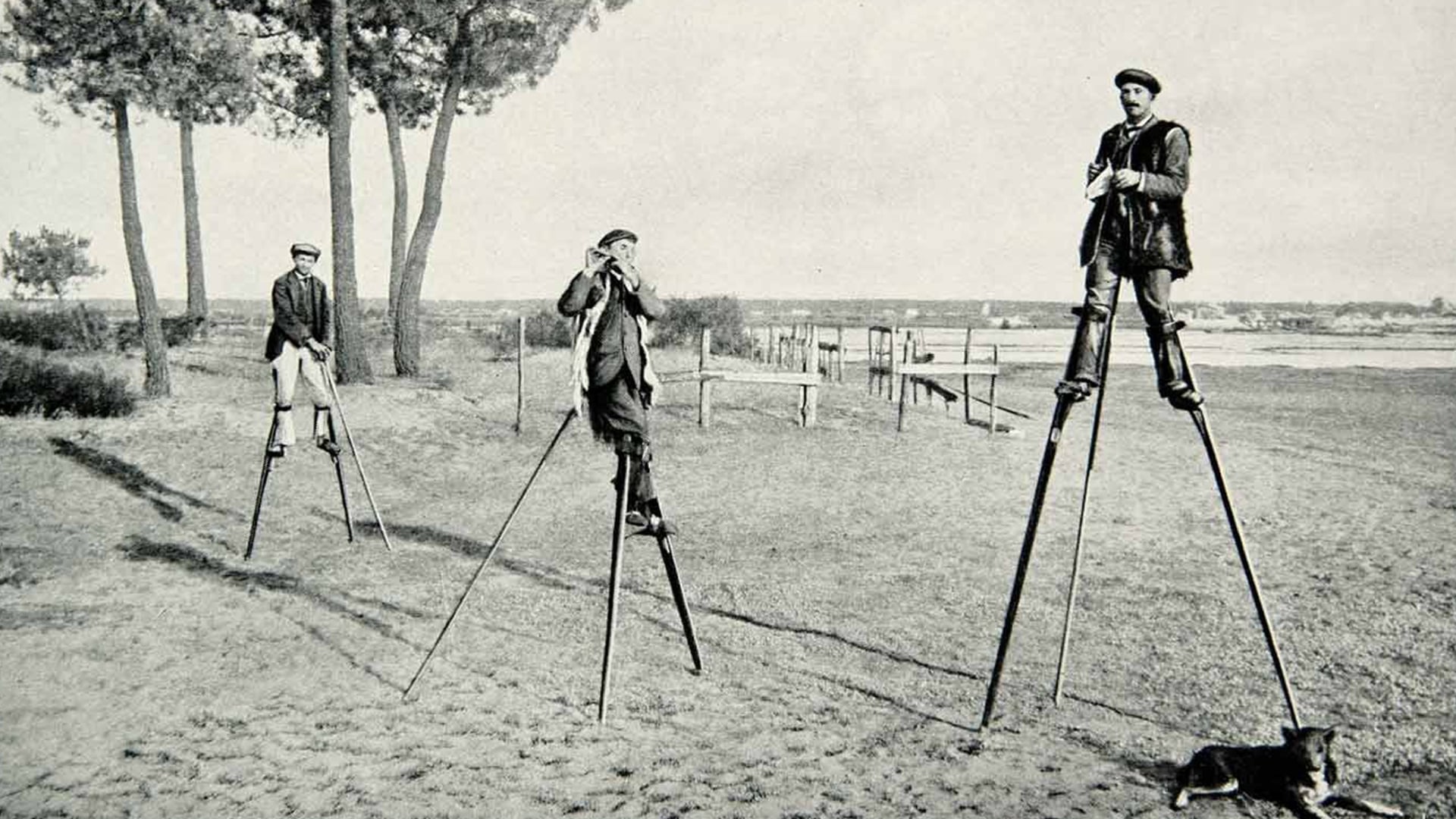 Stiltwalking shepherds were commonplace in this French town on Vimeo