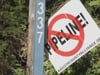 Historic Union Hill Community Threatened by Atlantic Coast Pipeline