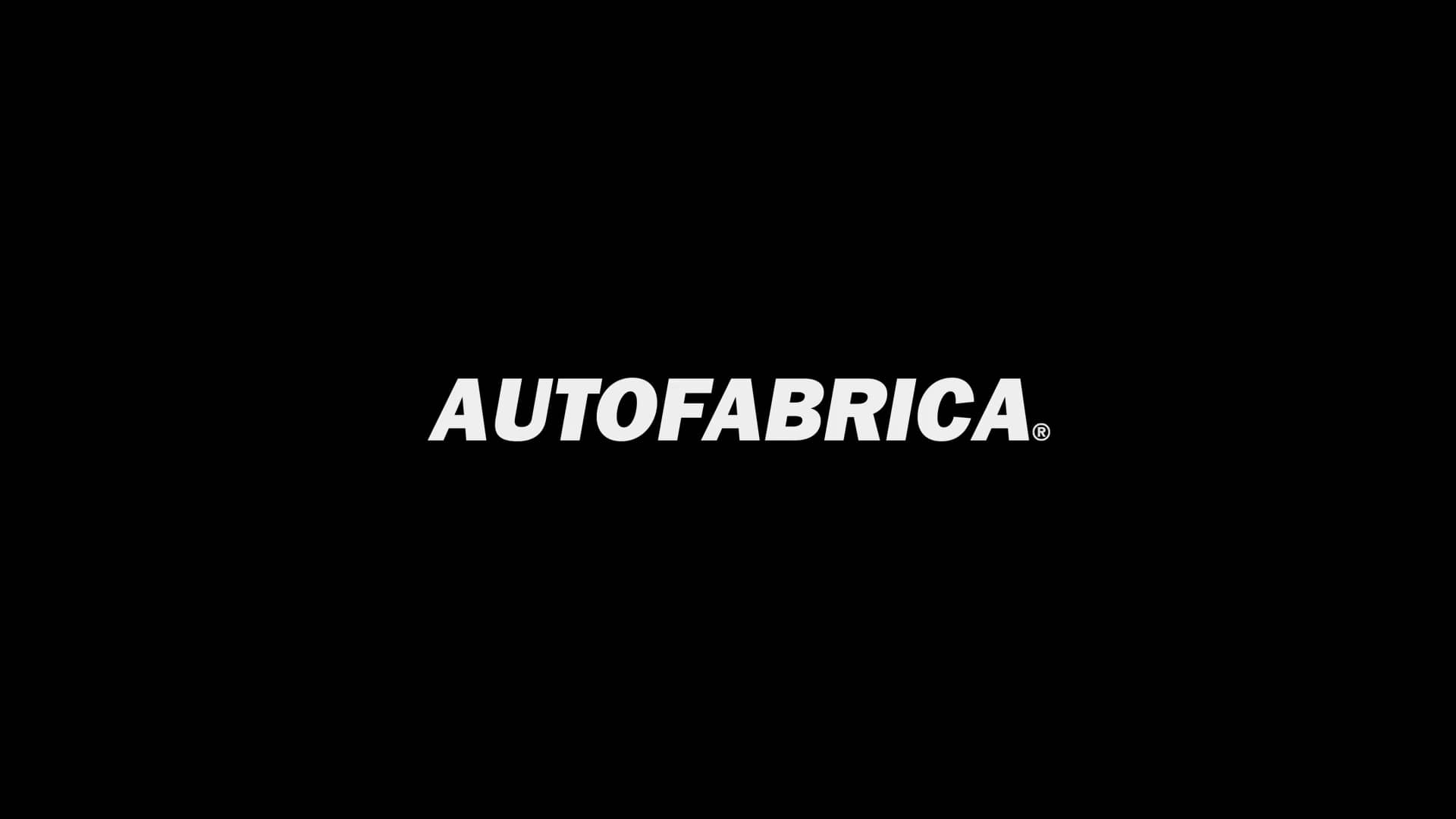 autofabrica type 0.1 price