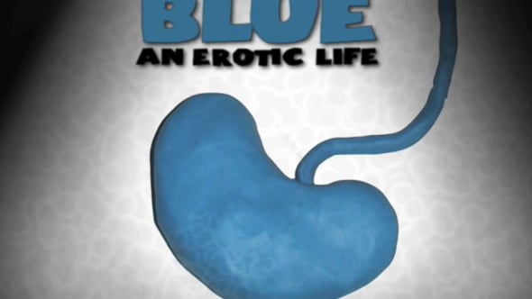 Blue - An Erotic Life
