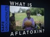 What is Aflatoxin? - An Introduction to Aflatoxin Contamination in Groundnuts