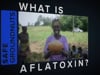 What is Aflatoxin? - An Introduction to Aflatoxin Contamination in Groundnuts