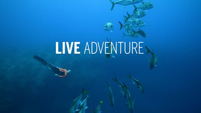 LIVE ADVENTURE