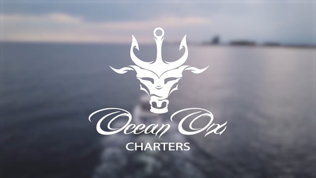 Ocean Ox Charters