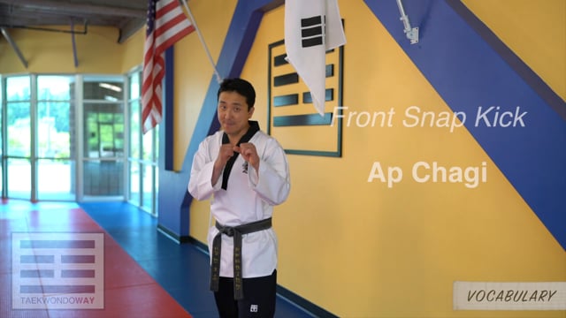 White Belt Vocabulary