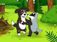 Lo?wenza?hnchen-Gesang-Daniel Montoya