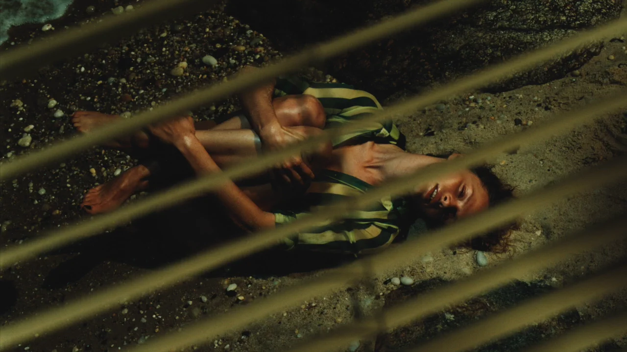 【洋書】LUIS SANCHIS LUIS SANCHIS | STURM & DRANG