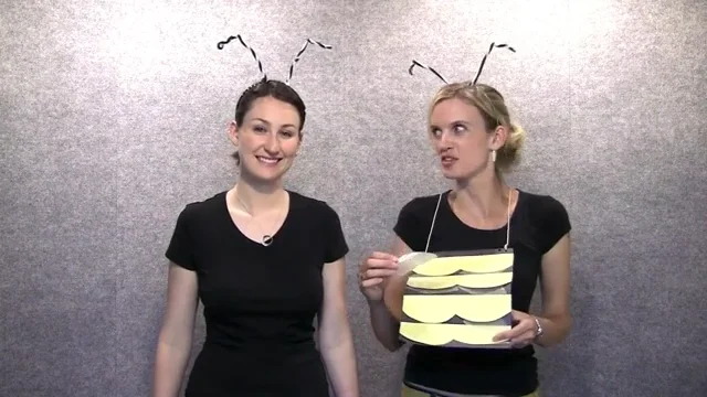 Bee Bodies: Structure and (Fun)ction  