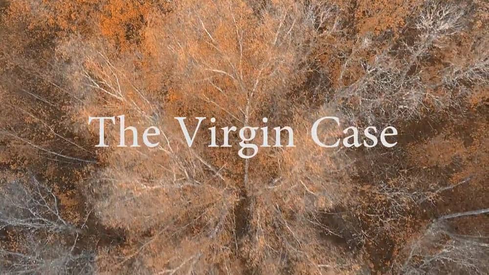 S He Would Rather Do Fiction Maker Page 2