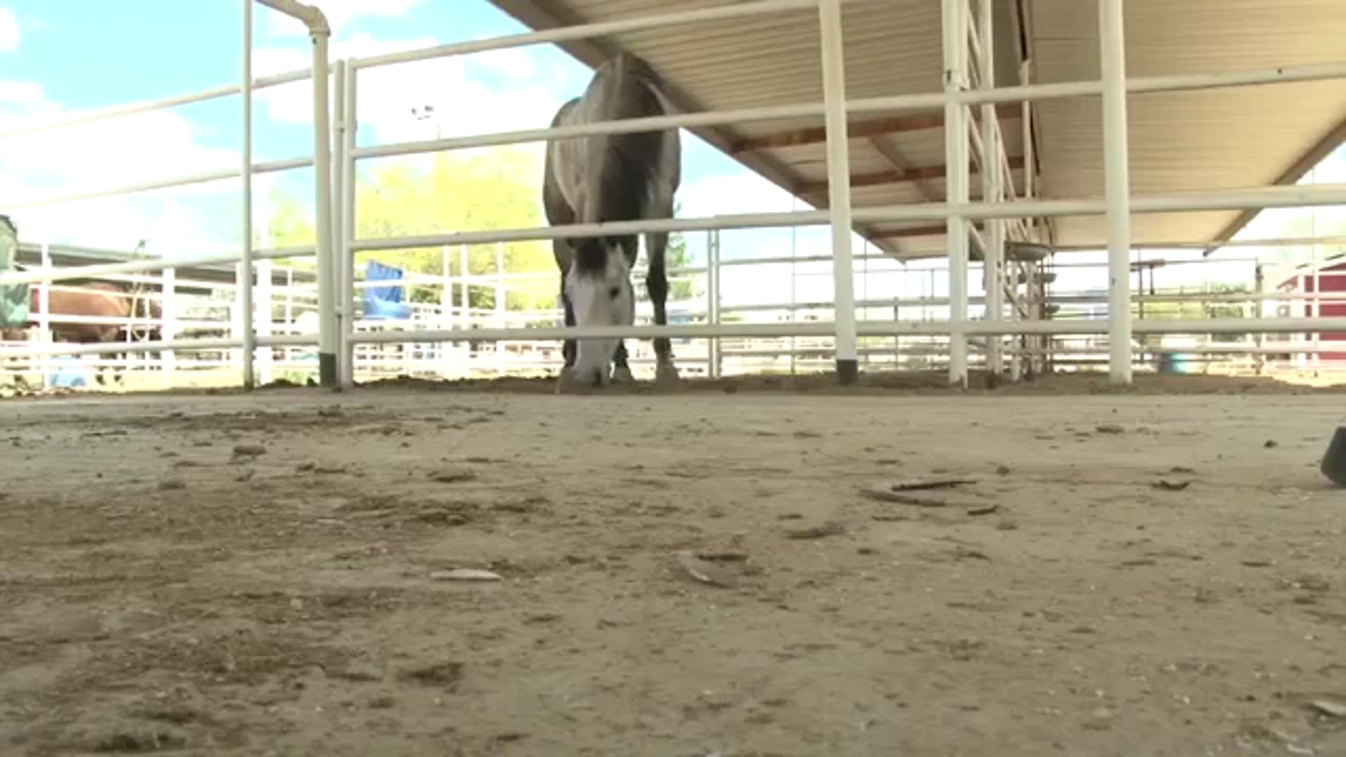 The Man with the Lucky Shoes